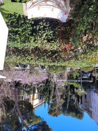 
                                                                                        Vente
                                                                                         Marseille - Le Roy d'Espagne