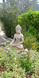 
                                                                                        Beauté
                                                                                         Massage sensoriel