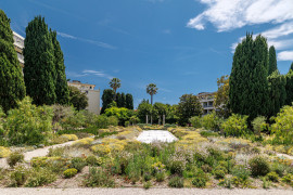 
                                                                                        Vente
                                                                                         Nice Cimiez - 3 pièces 72 m² refait à neuf
