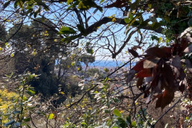 Vente
NICE Cimiez - Terrain constructible