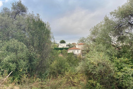 Vente
NICE Cimiez - Terrain constructible
