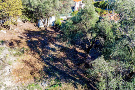 
                                                                                        Vente
                                                                                         NICE Cimiez - Terrain constructible