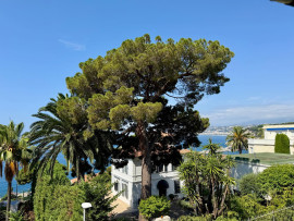 
                                                                                        Vente
                                                                                         Nice Mont Boron - 3 pièces refait à neuf Vue Mer