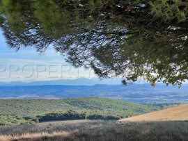 
                                                                                        Vente
                                                                                         OCCITANIE PROPRIETE 820 HA LACS COLLINAIRES