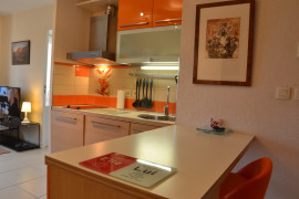 
                                                                                        Location
                                                                                         Parc Borely