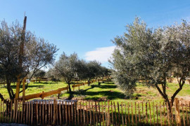 
                                                                                        Vente
                                                                                         Parcelle de jardin potager / terrain de loisirs