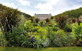
                                                                                        Vente
                                                                                         Paris 5ᵉ  À 5 min du Jardin des Plantes – 2 pièces