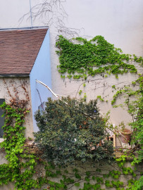 Location
Paris centre - 3 pièces cosy et calme à Notre Dame (loyer tout inclus)