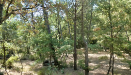 
                                                                                        Vente
                                                                                         PAYS D’AIX MAS DE CARACTERE 5,5 HA HAVRE DE PAIX