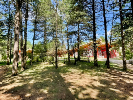 Vente
PAYS DE LODEVE DOMAINE D'EXCEPTION 30 HA