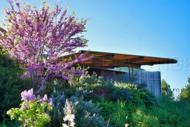 Vente
PAYS DE LODEVE DOMAINE D'EXCEPTION 30 HA