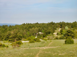 
                                                                                        Vente
                                                                                         PAYS DE LODEVE DOMAINE D'EXCEPTION 30 HA