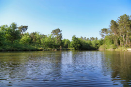 
                                                                                        Vente
                                                                                         PERIGORD DOMAINE GITES RECEPTIONS CHASSE 100 HA