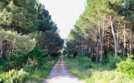 
                                                                                        Vente
                                                                                         PERIGORD DOMAINE GITES RECEPTIONS CHASSE 100 HA