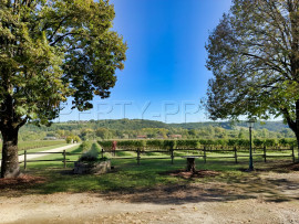 
                                                                                        Vente
                                                                                         PERIGORD NOIR DOMAINE D’EXCEPTION MARIAGES 100 HA