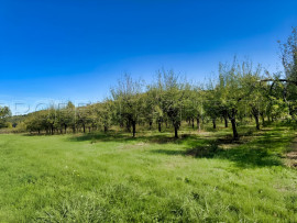 
                                                                                        Vente
                                                                                         PERIGORD NOIR DOMAINE D’EXCEPTION MARIAGES 100 HA