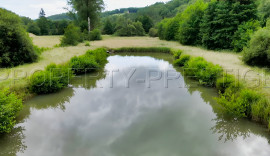 
                                                                                        Vente
                                                                                         PERIGORD PROPRIETE 23 HA GITES RIVIERE ETANG