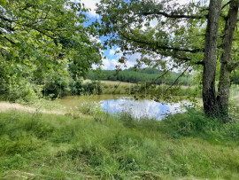 Vente
PERIGORD PROPRIETE RURALE 10 HA ETANG