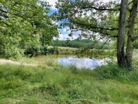 
                                                                                        Vente
                                                                                         PERIGORD PROPRIETE RURALE 10 HA ETANG