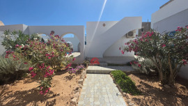 Vente
PETITE VILLA AVEC PISCINE À MIDOUN DJERBA ZU