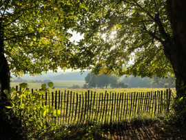 Vente
Propriété arborée avec chambres d’hôtes
