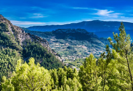 
                                                                                        Vente
                                                                                         PROPRIETE CHASSE 230 HA HAUT VAR