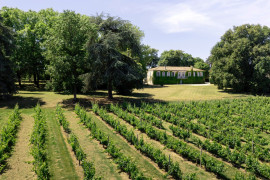 
                                                                                        Vente
                                                                                         PROPRIÉTÉ D’EXCEPTION AUX PORTES DE BORDEAUX