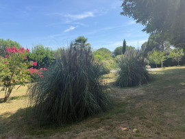 
                                                                                        Vente
                                                                                         Propriété de charme