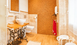 
                                                                                        Vente
                                                                                         PROPRIETE de CHARME avec CHAMBRES D'HOTES