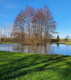 
                                                                                        Vente
                                                                                         PROPRIETE PECHE LOISIRS DANS L'AVESNOIS (59)