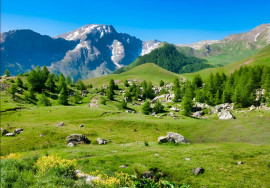 Vente
                                                                                PROVENCE PROPRIETE 230 HA RECEPTIONS CHASSE