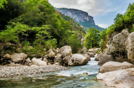 
                                                                                        Vente
                                                                                         PROVENCE PROPRIETE 295 HA RECEPTIONS CHASSE