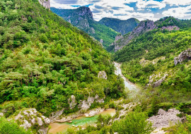 
                                                                                        Vente
                                                                                         PROVENCE PROPRIETE 295 HA RECEPTIONS CHASSE