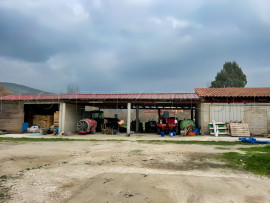 
                                                                                        Vente
                                                                                         PYRENEES ORIENTALES DOMAINE ARBORICOLE 10.5 HA