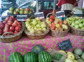 
                                                                                        Vente
                                                                                         PYRENEES ORIENTALES DOMAINE ARBORICOLE 10.5 HA