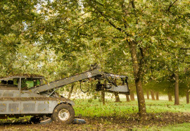 
                                                                                        Vente
                                                                                         PYRENEES ORIENTALES DOMAINE OLEICOLE ET NUCICOLE