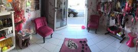 Vente
Salon de Toilettage existant depuis 21 ans