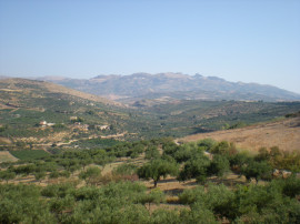 
                                                                                        Vente
                                                                                         SICILE terrain panoramique "vue mer"11500M2 projet