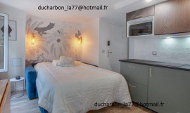 
                                                                                        Location
                                                                                         Studio meublé et rénové de 19.45 m2