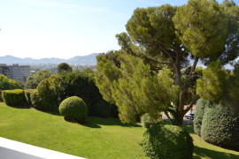 
                                                                                        Location
                                                                                         Studio Thalassa