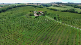 
                                                                                        Vente
                                                                                         SUD OUEST DOMAINE PRUNICOLE 65 HA