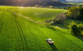 
                                                                                        Vente
                                                                                         SUD-OUEST NOUVELLE AQUITAINE Exploitation 230 HA