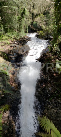 Vente
SUD OUEST PROPRIETE 70 HA RIVIERE