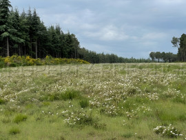Vente
SUD OUEST PROPRIETE 70 HA RIVIERE