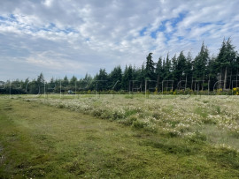 Vente
SUD OUEST PROPRIETE 70 HA RIVIERE