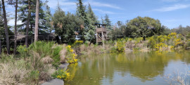Vente
SUD OUEST PROPRIETE 70 HA RIVIERE