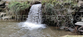 Vente
SUD OUEST PROPRIETE 70 HA RIVIERE