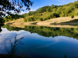 Vente
SUD-OUEST PROPRIETE AGRICOLE ET CHASSE 109 HA