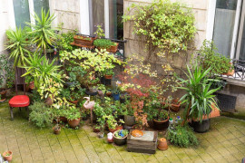 
                                                                                        Location
                                                                                         Superbe 3P meublé 40m² au calme