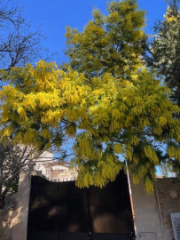 Vente
Superbe Maison à15min de la plage jouxtant Pézenas